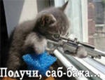 ���� �����, ������, 26 ��� - ��������� 7 ������ 2012 � ������ �������