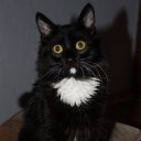 ��� �����:))) �� ������� ���� ����������