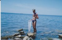 �����, ���������, 50 ���