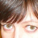  .  2011.    