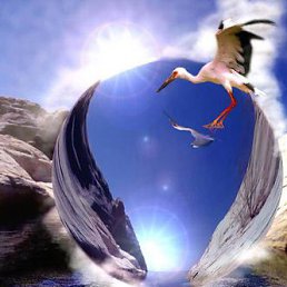 �������, �������, 39 ���