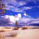 ���� �@����@, ������, 42 ���� - ��������� 15 ������� 2009 � ������ ����