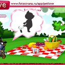 ���� Nika, ����, 38 ��� - ��������� 11 �������� 2010 � ������ �PetLove�