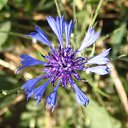 ���� �����, ��������, 45 ��� - ��������� 3 ������� 2010 � ������ ����� �������