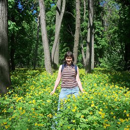 ����������