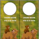 ���� �������, �����, 46 ��� - ��������� 5 ������ 2010 � ������ ���������