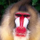 ���� �������, ����������� - ��������� 5 ���� 2012 � ������ �������