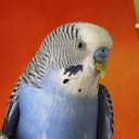 � �� ������� �������