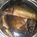 ���� ������, ������������, 60 ��� - ��������� 10 ������� 2011 � ������ �������