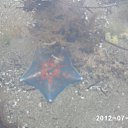 ���� ������, ������, 57 ��� - ��������� 30 ������� 2012 � ������ �������� -�������