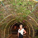 ���� Super Star �����, ������������, 50 ��� - ��������� 21 ���� 2013 � ������ �7-14 ���� 2013.�