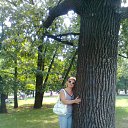 ������ 2010 � �� ������� ���� ����������