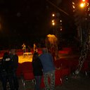 ���� Artiom, �����, 34 ���� - ��������� 8 ������ 2010 � ������ �������