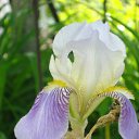 ���� ����, �������� ������ - ��������� 8 �������� 2010 � ������ ������� ��������....�