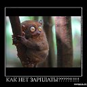 ���� ���������, ������, 35 ��� - ��������� 28 �������� 2010