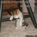 ���� ����, ������, 52 ���� - ��������� 18 ������� 2009 � ������ �������� �����