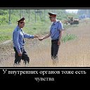 ���� Roli, ��������, 53 ���� - ��������� 26 ���� 2011 � ������ �3�