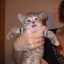 ���� �����, ������������, 50 ��� - ��������� 5 ������ 2010 � ������ �����