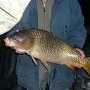 ���� ������, ������, 51 ��� - ��������� 24 ������� 2011