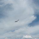 "����������� ��� ���� ����� ������ ��� ����� �������.
�� �� ������ ����� ��������, �� � ����������� ���� ��������....
�� ���������� ������� �����, �� �������� � ������ ��������.
����� ����� �������� � ,���������, �� ����� �� �� ������������.
� ������� ����� ����� ������ � ����� �� ���� ����������.
� �� �� ����� � ����� ��������: "��������� �����, ����� �����"...
��� ������ �� ����� ���������� �����. � ����� � ����� �����������.
������� ��� ����� � ������� � ��������� ����� ��������..."... �� ������� ���� ����������