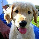 ���� �����, �������, 40 ��� - ��������� 26 ���� 2013 � ������ ������ � ������