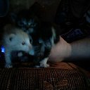 ���� ������, ������, 35 ��� - ��������� 3 ������ 2013 � ������ ���� ����������