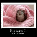 ���� ��, ������������, 39 ��� - ��������� 30 ������� 2010 � ������ �����-���� � �����