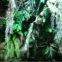 ���� ������, ���������, 50 ��� - ��������� 8 ���� 2010 � ������ �����