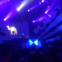 ���� ˸���, �����-��������� - ��������� 3 ��� 2013 � ������ ���� ����������