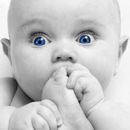 ���� �������, ������ ��������, 37 ��� - ��������� 20 ������ 2011