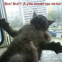   D* Tuta,  -  10  2009     