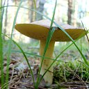 ���� �������, ������� - ��������� 10 ������ 2010 � ������ ����...������