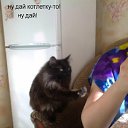 ���� �������, �������, 59 ��� - ��������� 18 ��� 2011 � ������ �������
