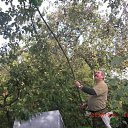 ���� Yna26, �����-���������, 71 ��� - ��������� 14 ��� 2012 � ������ ���� ����������
