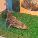 ���� �����, �������������, 25 ��� - ��������� 28 ���� 2013 � ������ �� �� ���������.�