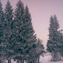 ���� �������, ���������, 35 ��� - ��������� 23 ������ 2010 � ������ ���������� � ����� ������������� �������