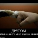 ���� �����, �����, 36 ��� - ��������� 22 ���� 2011 � ������ ����������!�