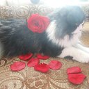 ))))))))))))))))))))))))     