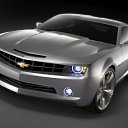 ���� �������, �����-���������, 41 ��� - ��������� 22 ������ 2009 � ������ �������