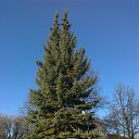 ���� Sergey, ������, 76 ��� - ��������� 3 ���� 2013 � ������ ���� ����������