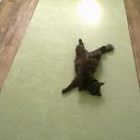 ���� ����, ���� - ��������� 26 ������� 2012 � ������ �������� �����