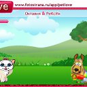  , , 23  -  19  2010   PetLove