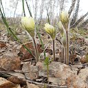 ���� �������!, �������������, 42 ���� - ��������� 9 ��� 2013 � ������ ���� ����������