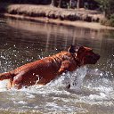 ���� �����, ������, 57 ��� - ��������� 9 ������� 2013 � ������ ���� ����������