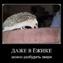 ���� �����, ����������� - ��������� 3 ������ 2010 � ������ �������