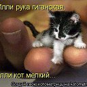  Lika,  -  3  2010      2 :))