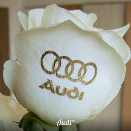 ���� ������, ���������, 41 ��� - ��������� 16 ������ 2013