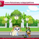 ���� Waltos, ������, 33 ���� - ��������� 22 ������ 2010 � ������ �PetLove�