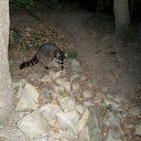 ���� �����, �����, 30 ��� - ��������� 29 ������� 2011 � ������ ����� � ����