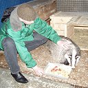 ���� ��������, ������ - ��������� 17 ����� 2013 � ������ ���� ����������